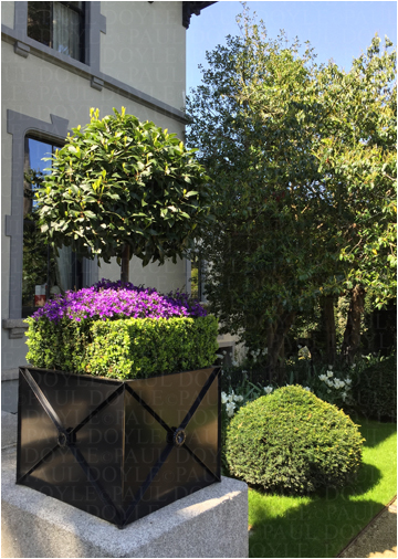 Regent's Garden